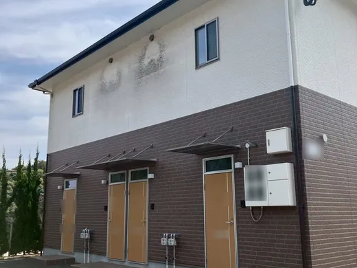 外壁洗浄の前の建物（外壁に黒ずみ）